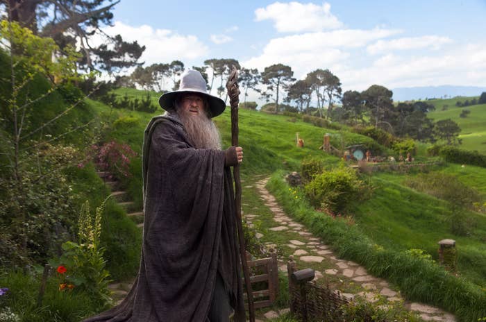 his character in a field