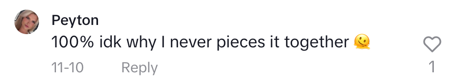 Screenshot of a TikTok comment"