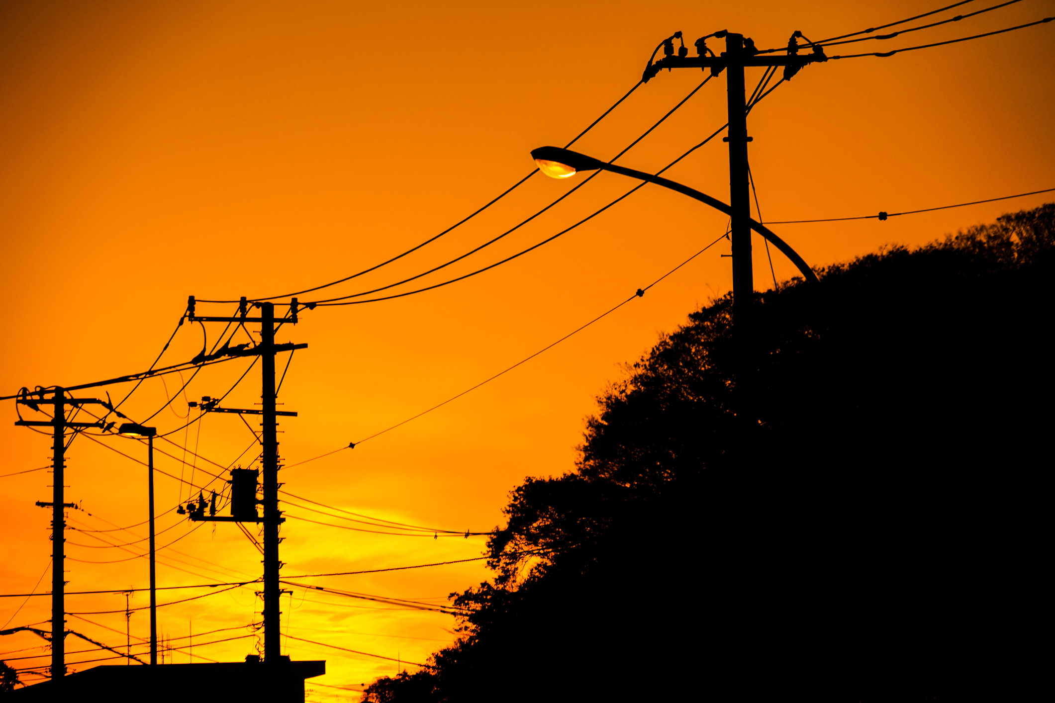 telephone lines in the sunset