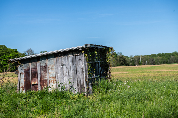 old shack in a field