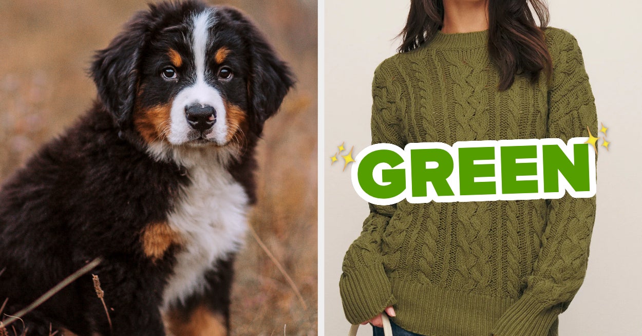 Pick Puppies Guess Favorite Color Quiz Pick puppies guess favorite color quiz