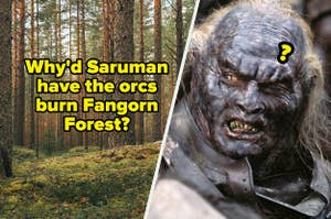 A forest and an orc looking confused.
