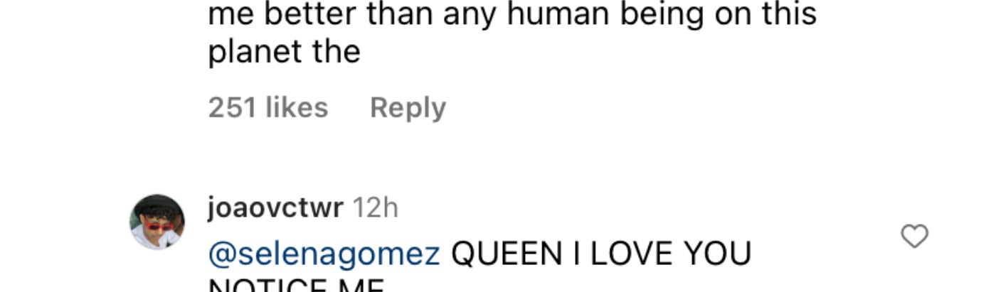 Screenshot of Selena&#x27;s comment