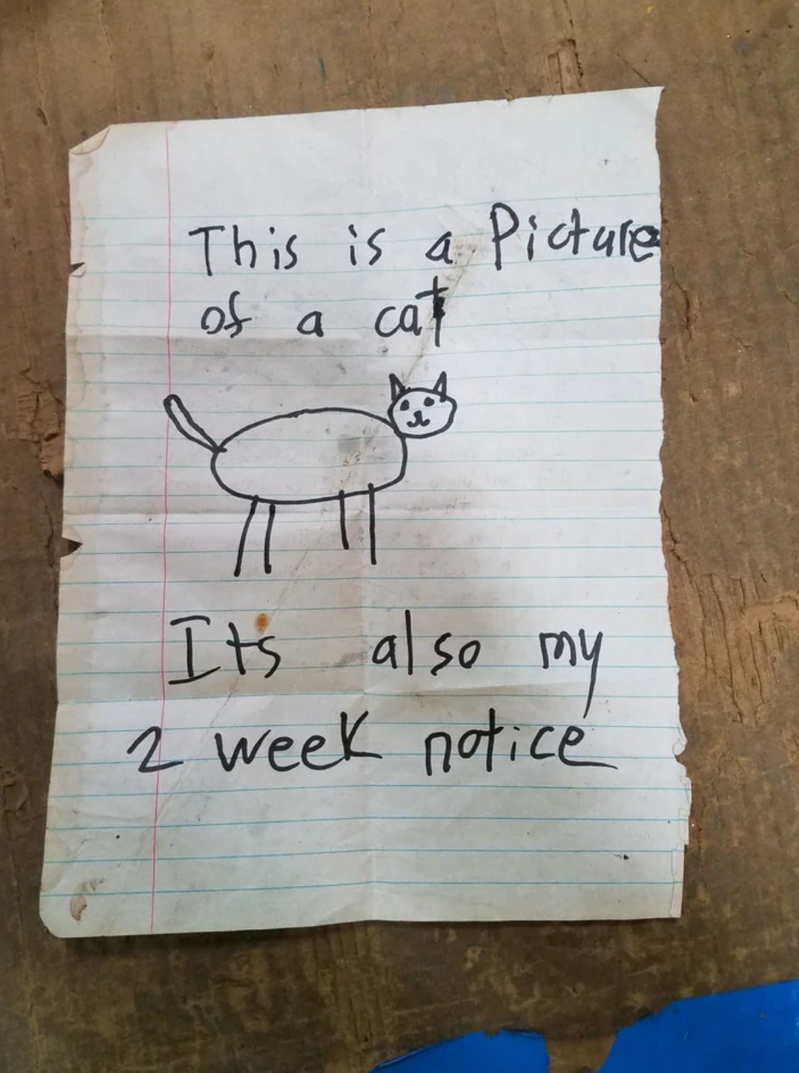 this is a picture of my cat, it&#x27;s also my 2 week notice