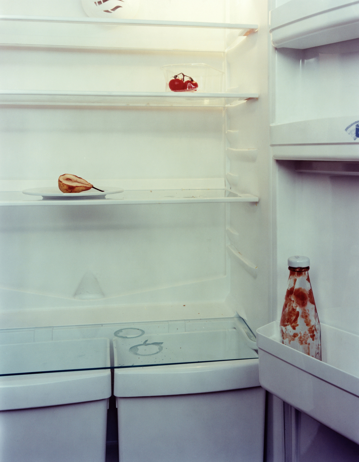 sparse fridge