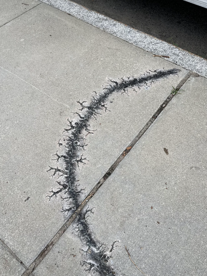 a crack in the sidewalk