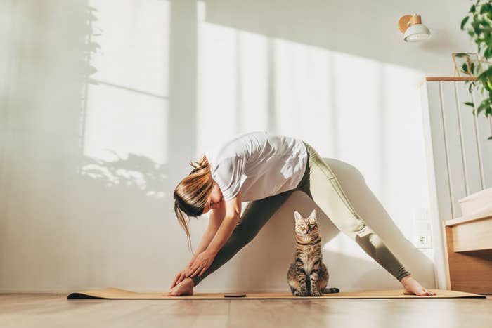 person stretching on a mat with their cat beside them