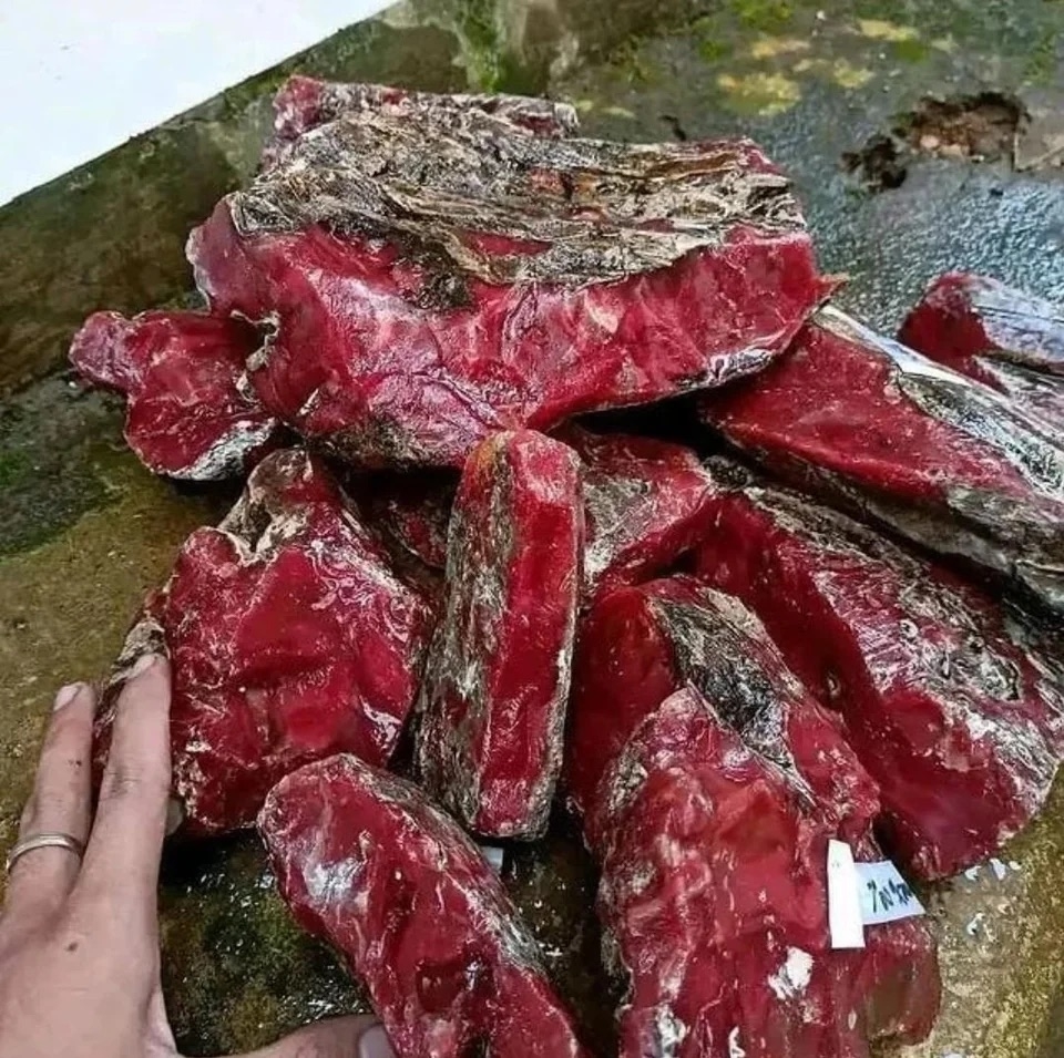 Inedible pieces that look like red meat