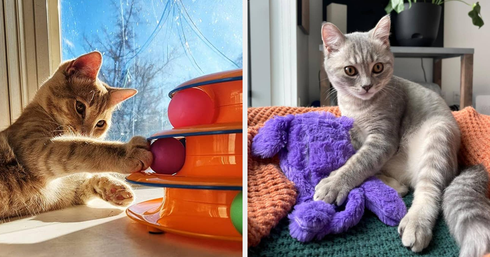 Toys cats like hotsell