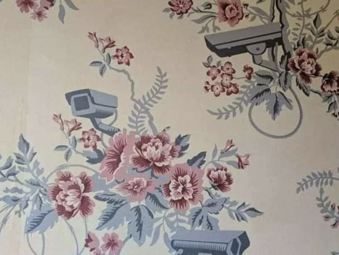 Wallpaper that has flowers and video cameras