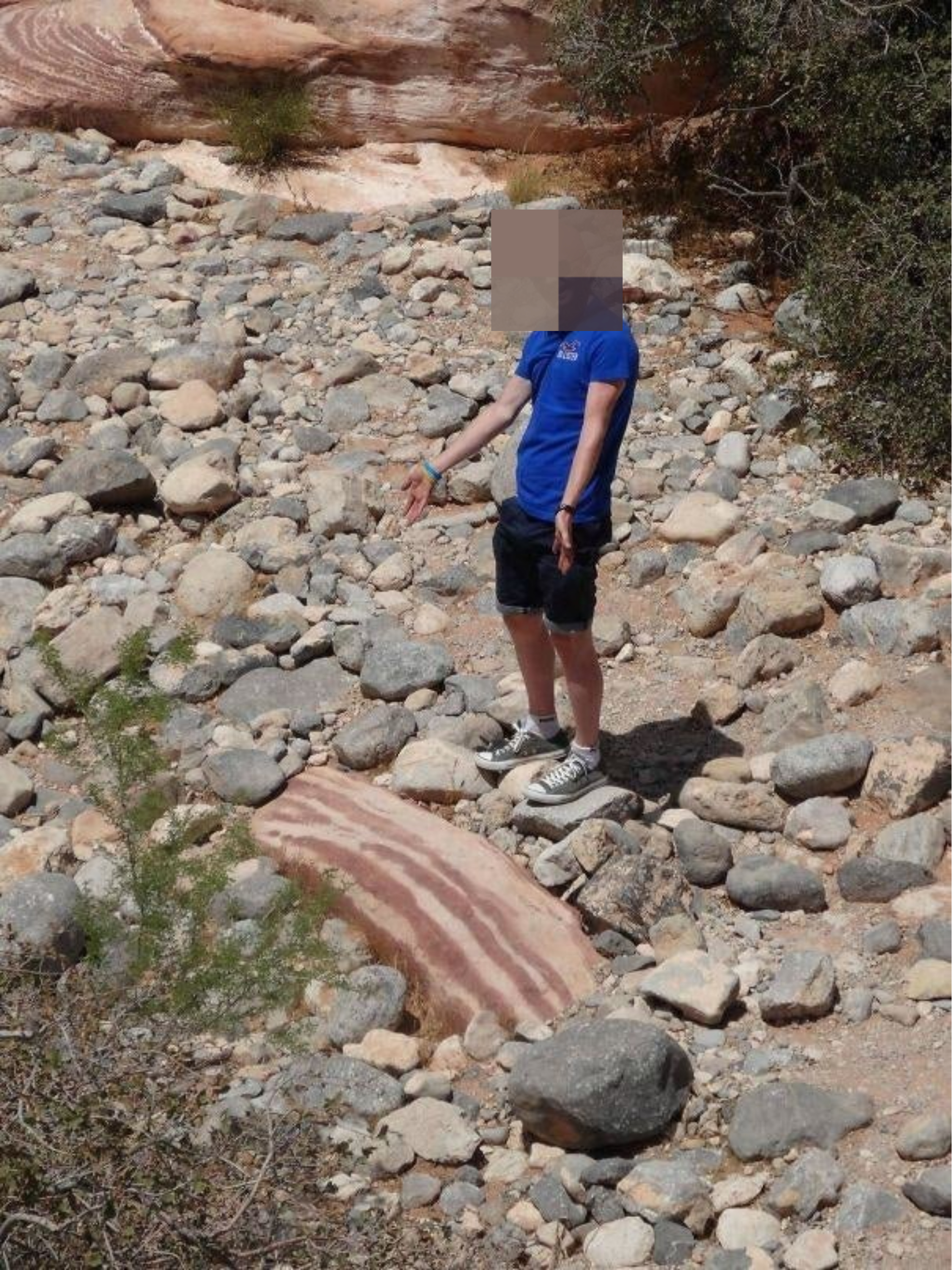 someone pointing to a rock that looks like uncooked bacon