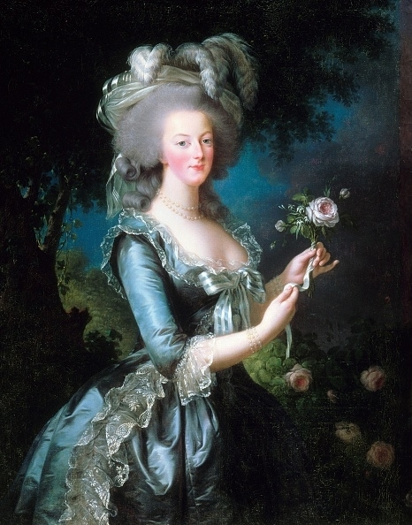 A portrait of Marie Antoinette touching a flower