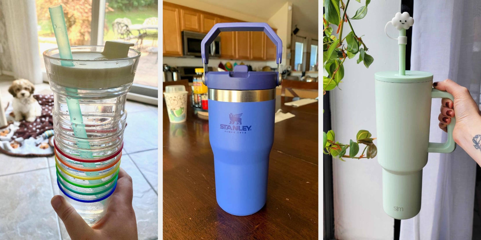 23 Best Water Bottles - Vimarsana News