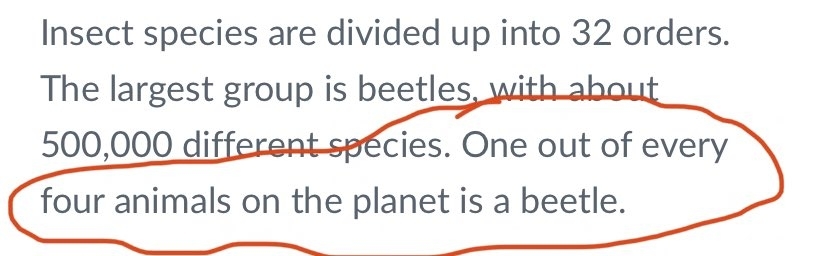 &quot;One out of every four animals on the planet is a beetle.&quot;