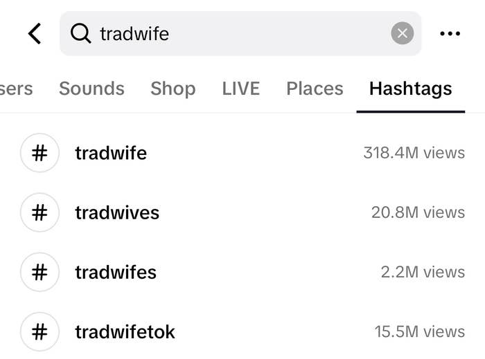 TikTok hashtag search showing millions of views for tradwife content