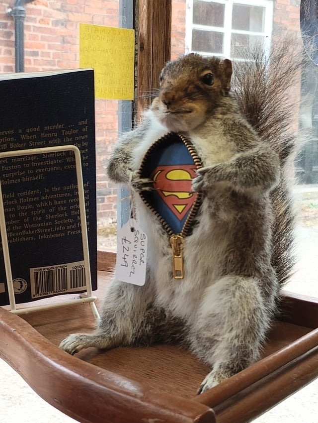 a taxidermied squirrel opening its pelt to reveal a Superman logo