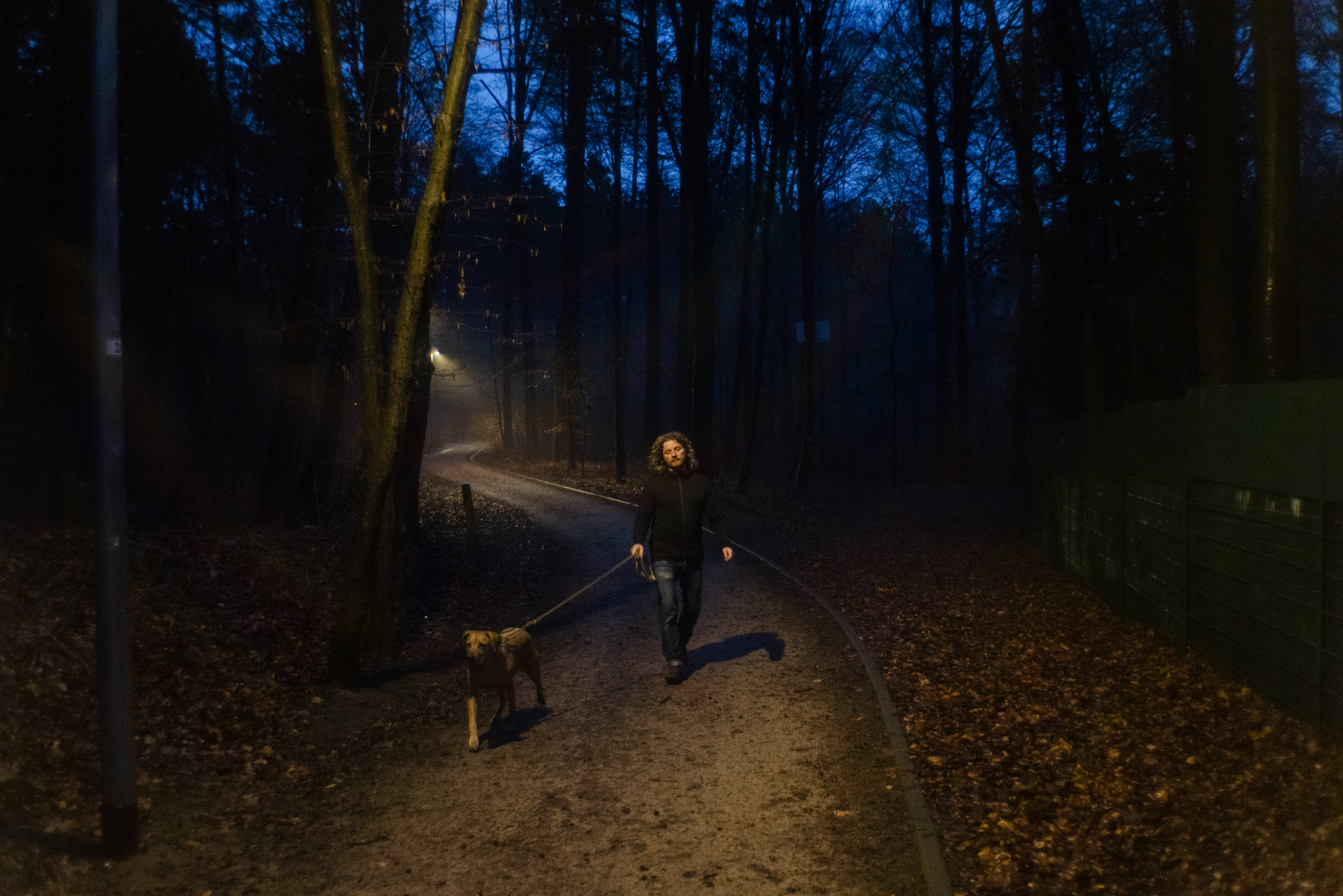 Man walking dog at night