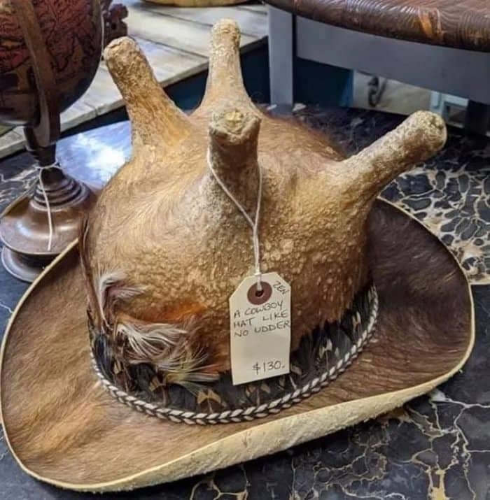a cowboy hat with udders on top