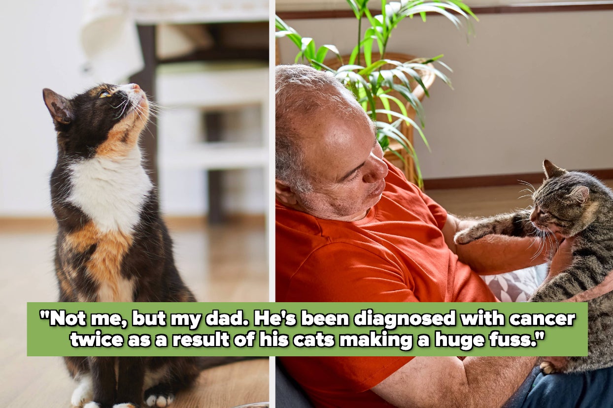 People Are Sharing The Times Their Pets Saved Them From Danger, And We Honestly Don't Deserve Animals