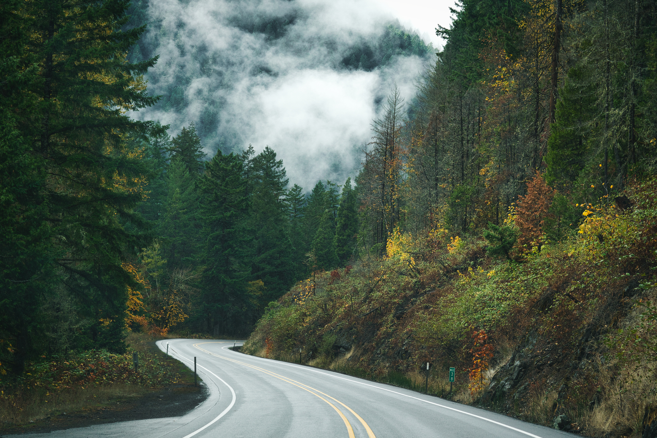 A scenic road through Oregon
