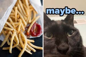 On the left, some fries with a side of ketchup, and on the right, a cat closeup labeled maybe