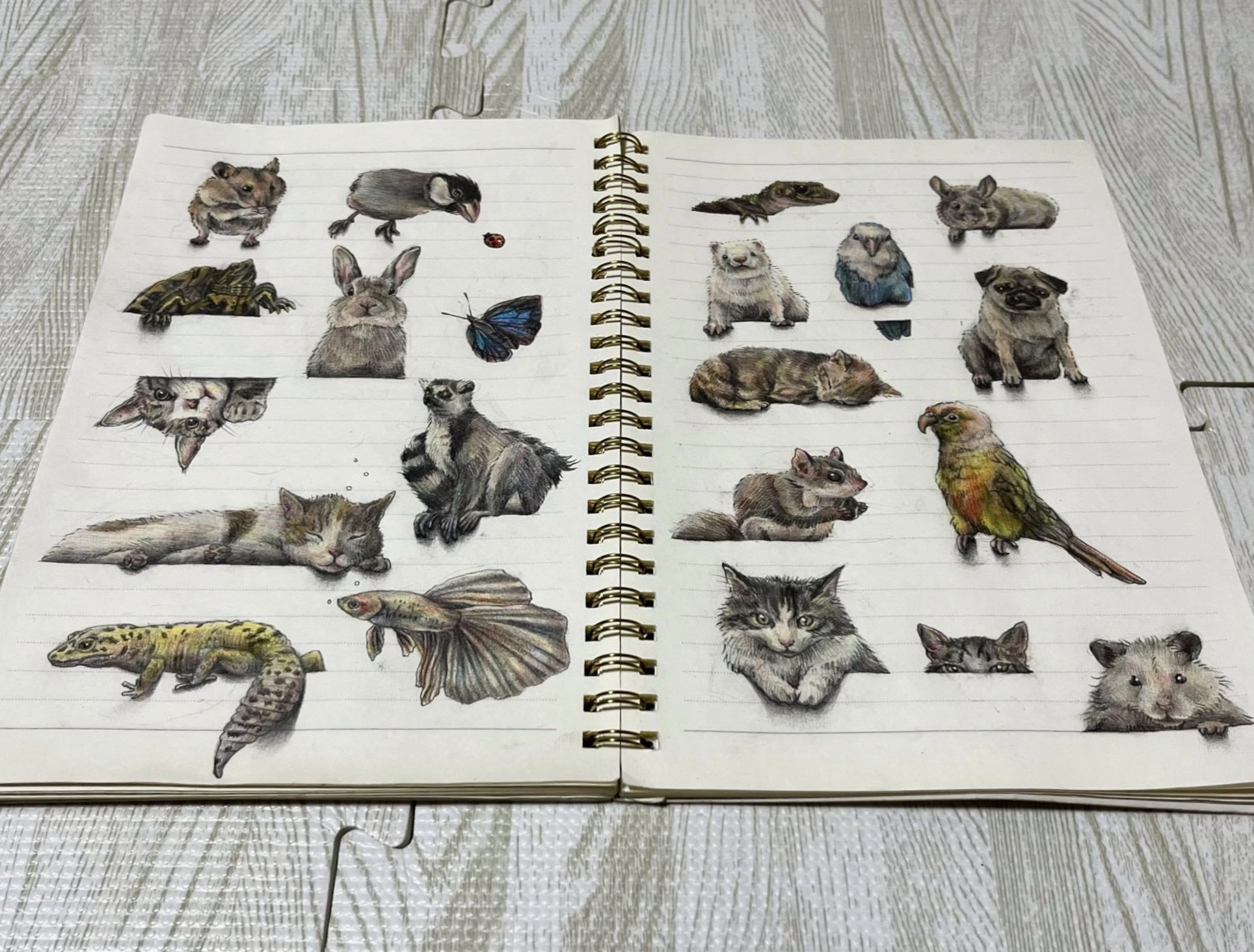 1RTにつき1匹動物描く」を宣言したら2万匹以上描くことに！ ノート