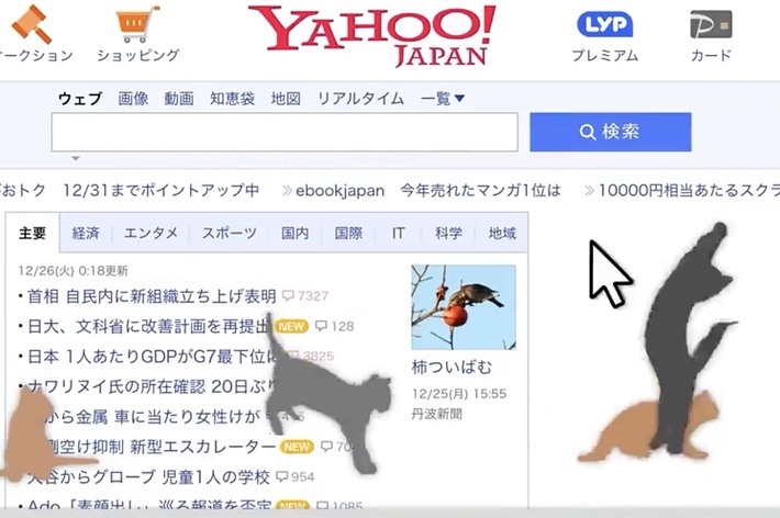 動画で見る】インターネットを邪魔するネコちゃんたち