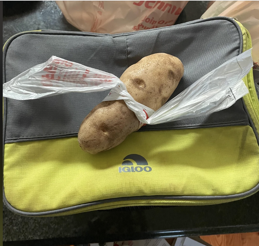 a bag tied around a potato