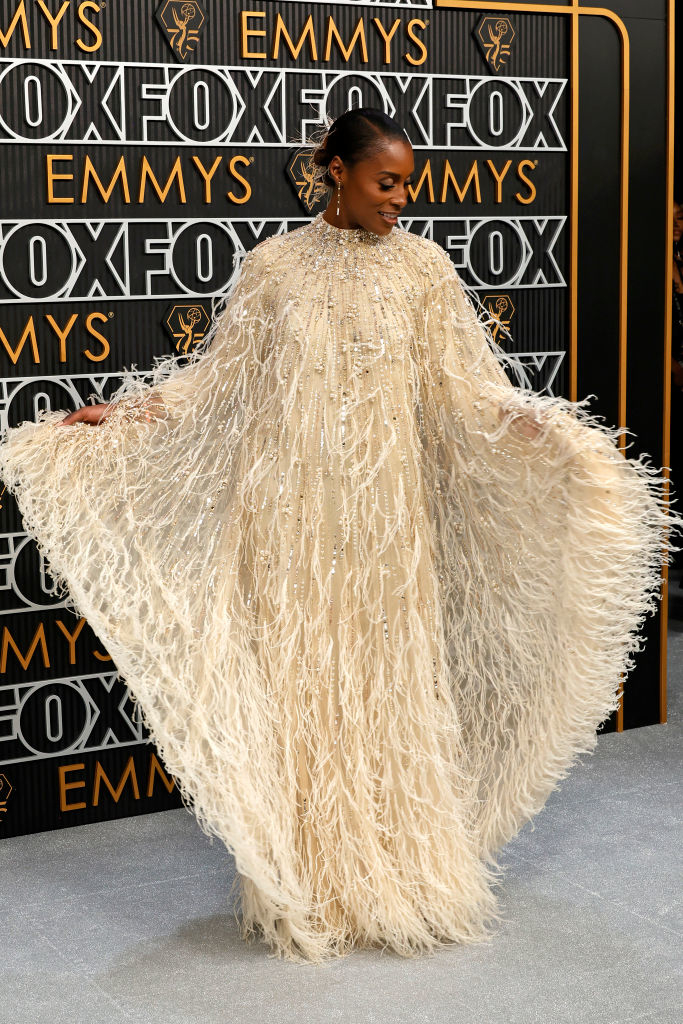 it&#x27;s a long feathery dress with long sleeves
