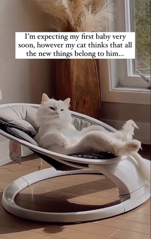 hilarious pictures