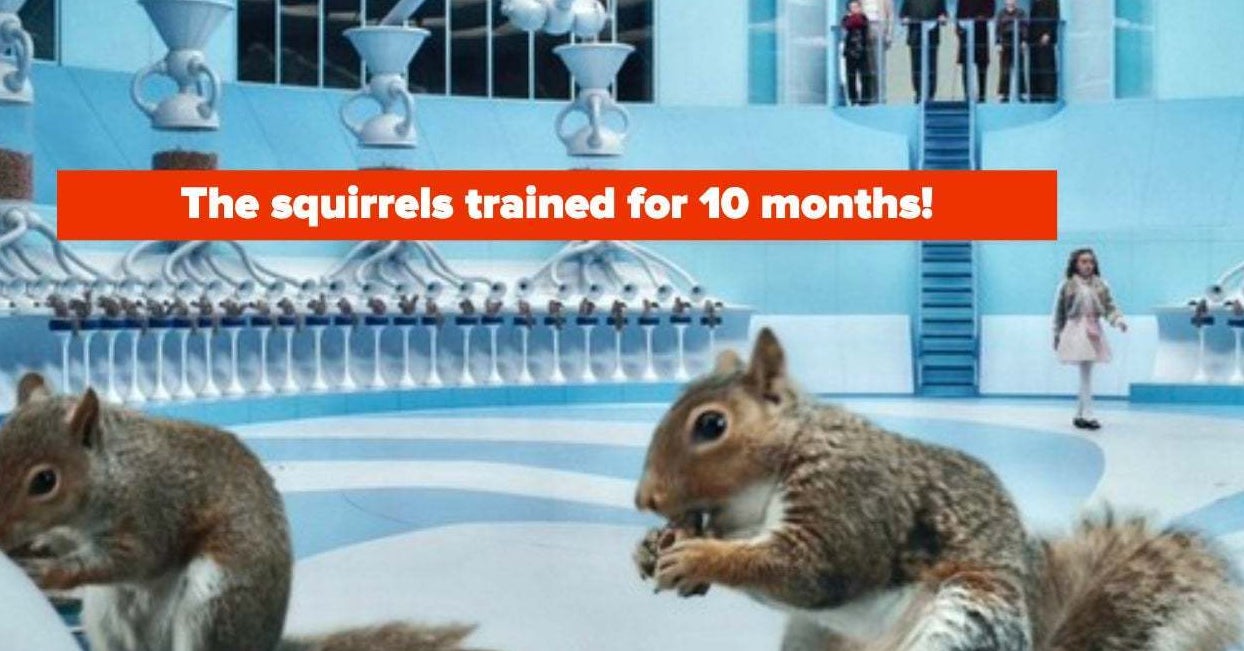 Are Animals Hurt In Movies?