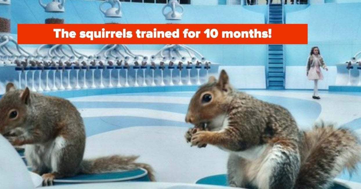 Are Animals Hurt In Movies?