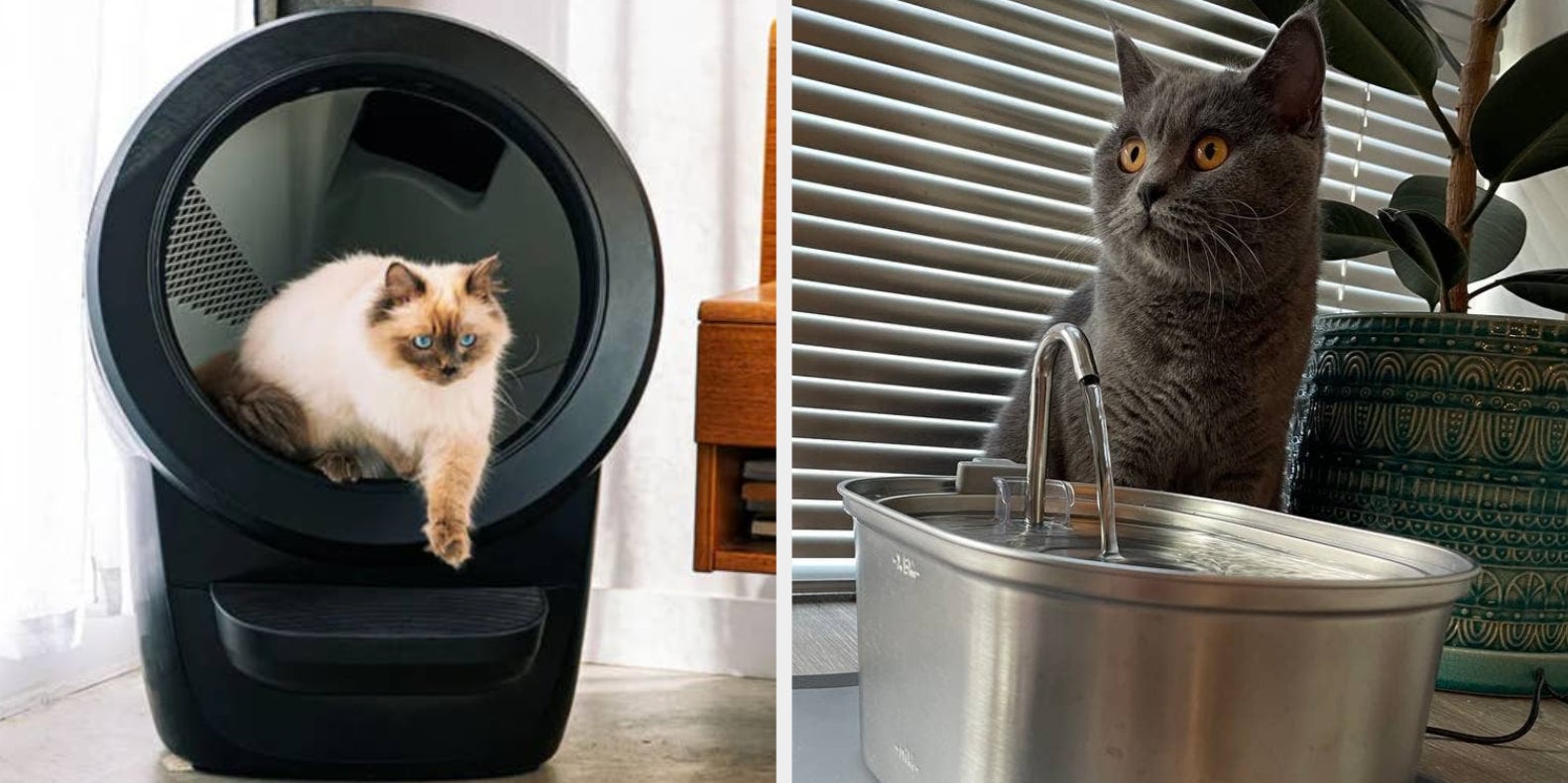 34 Products If It's Your Cat's House And You're Just Living In It - Vimarsana News
