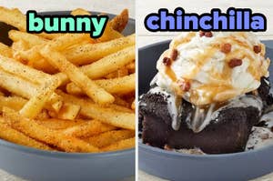 On the left, some seasoned fries labeled bunny, and on the right, a brownie topped with vanilla ice cream labeled chinchilla