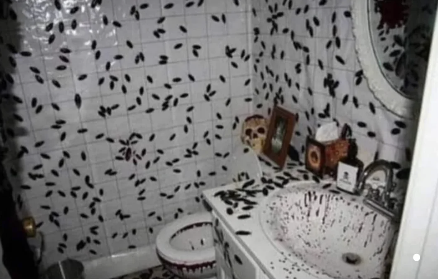 Roaches all over someone&#x27;s bathroom