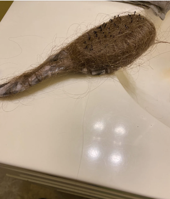 A hairbrush completely covered in hair
