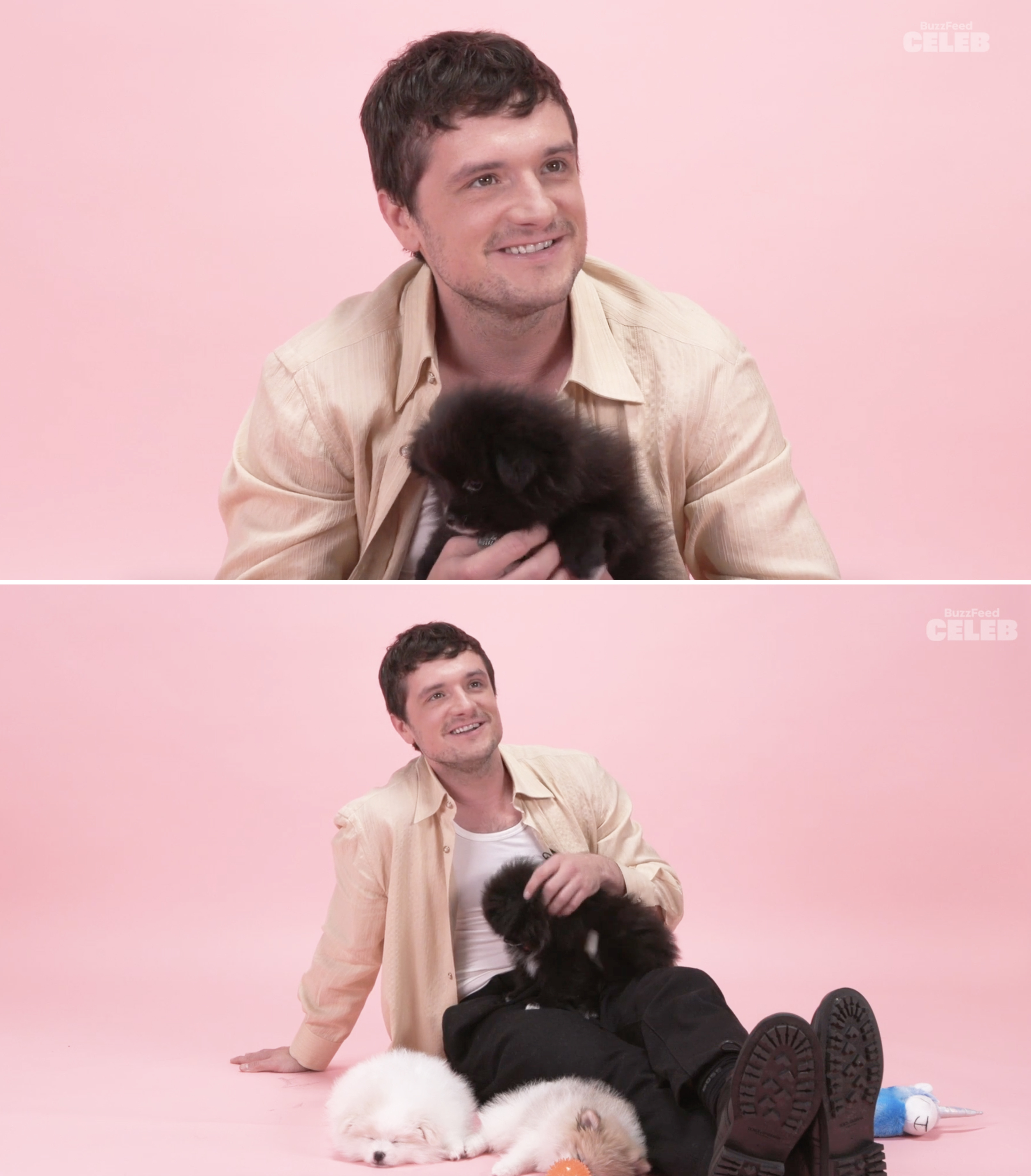 Josh Hutcherson playing with puppies