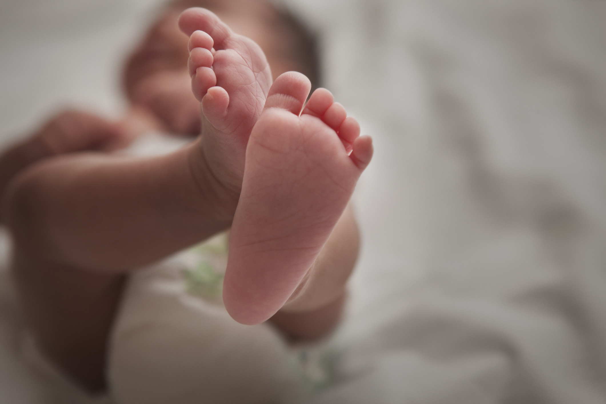 A newborn baby&#x27;s feet