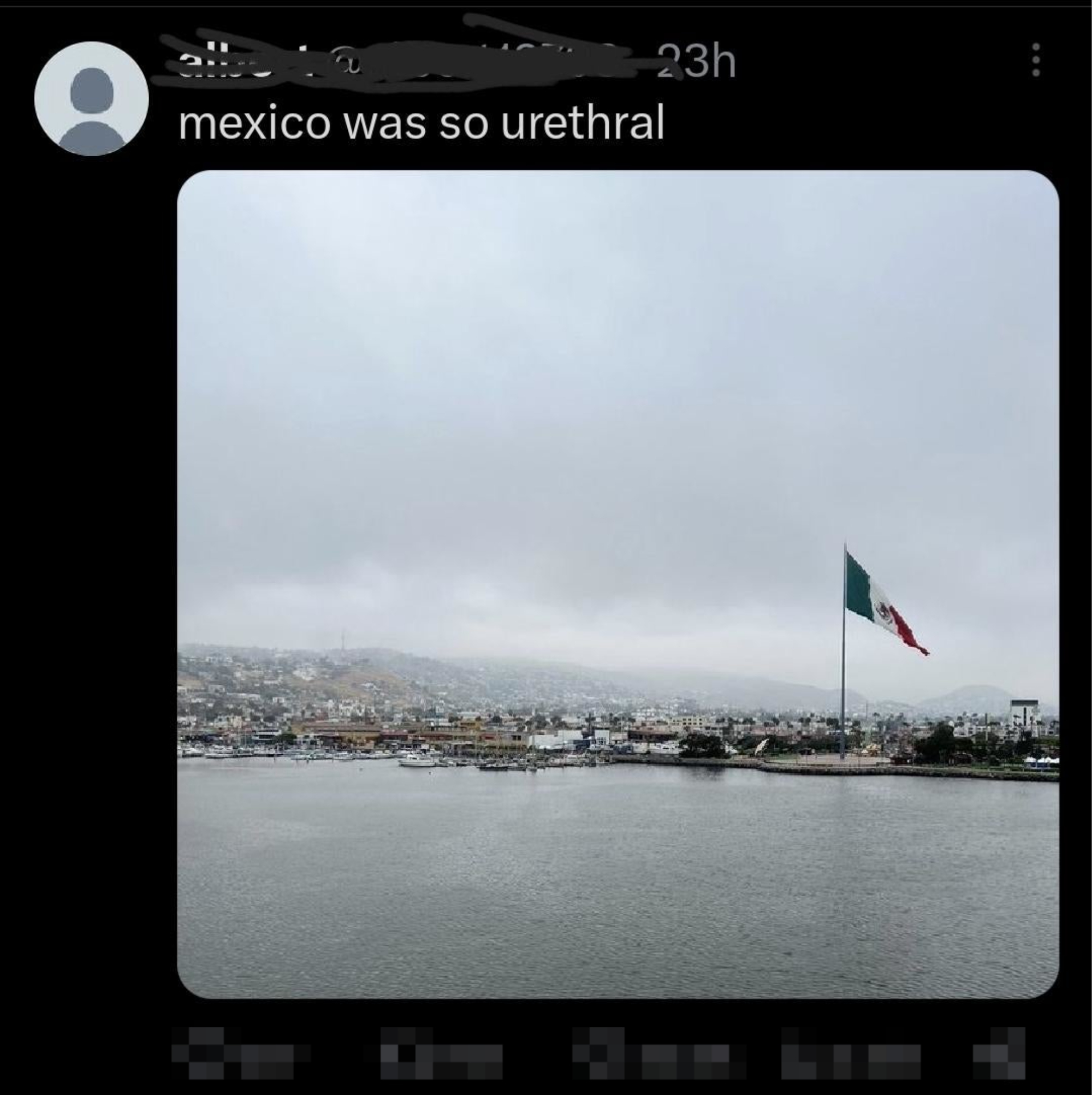 &quot;Mexico was so urethral&quot;