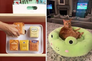 on left: white tea bag organizer. on right: tan cat sitting in frog-shaped Squishmallow pet bed