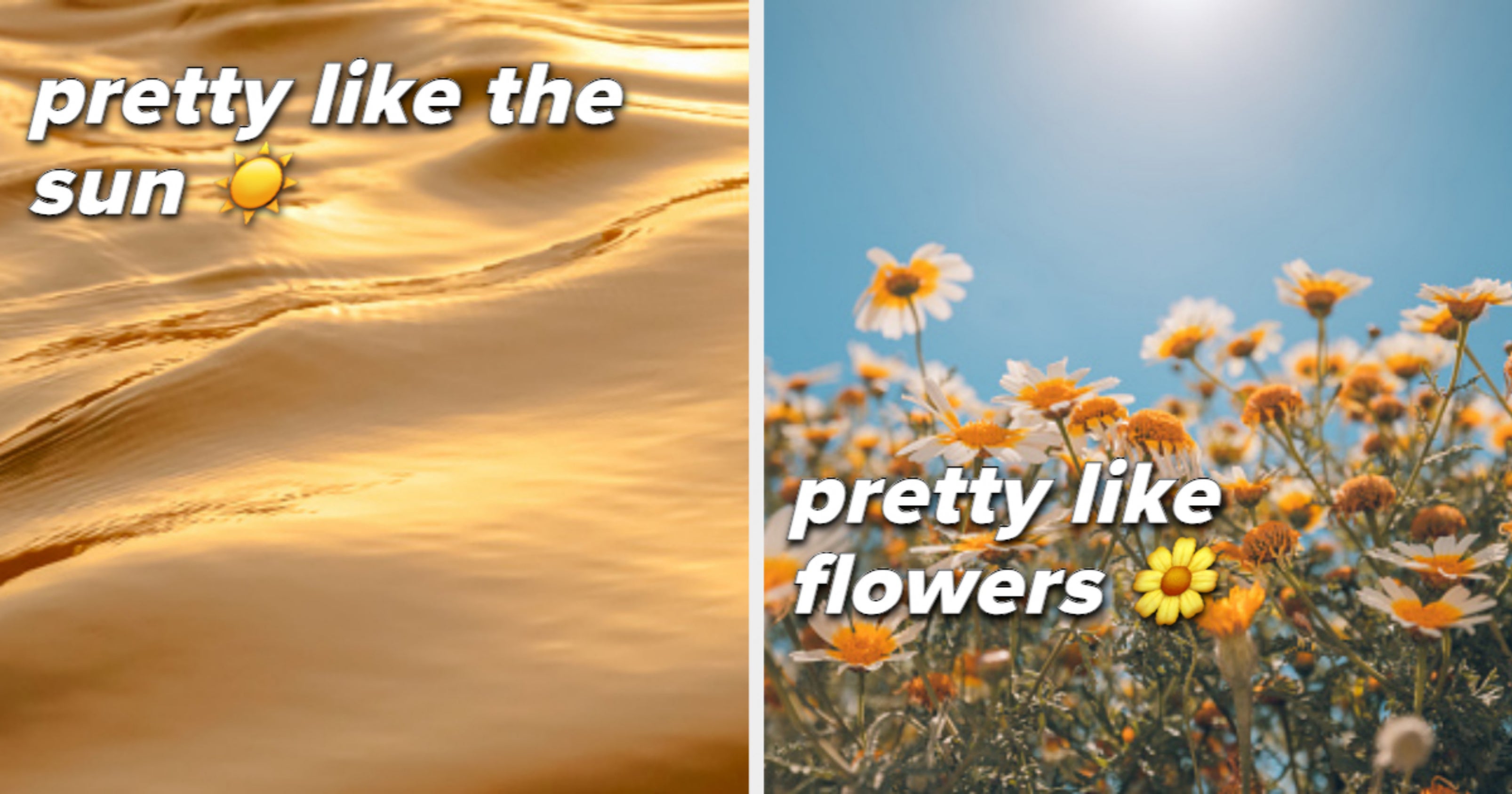 What kind of pretty am i pretty tiktok quiz