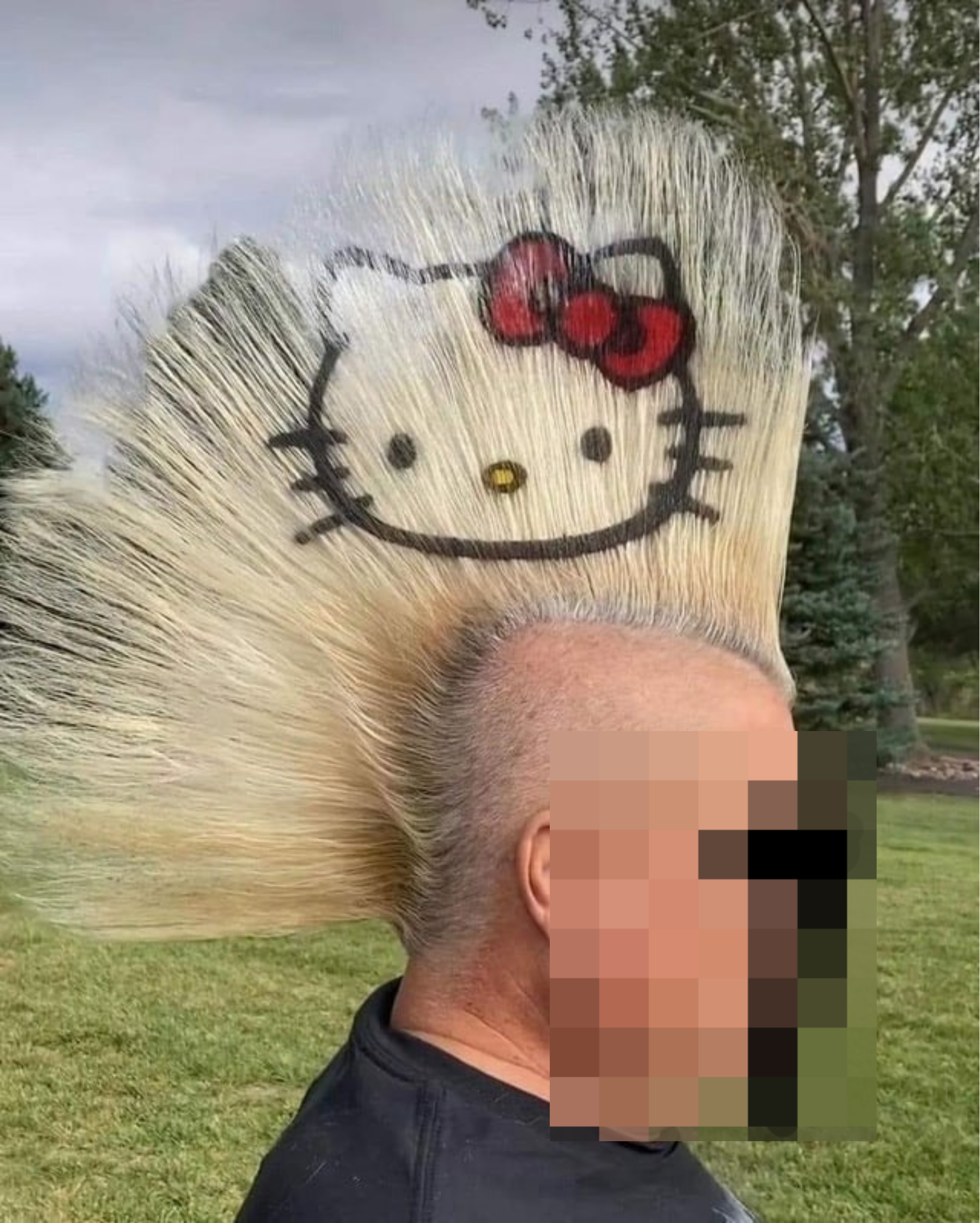 someone&#x27;s long mohawk has hello kitty spray painted on