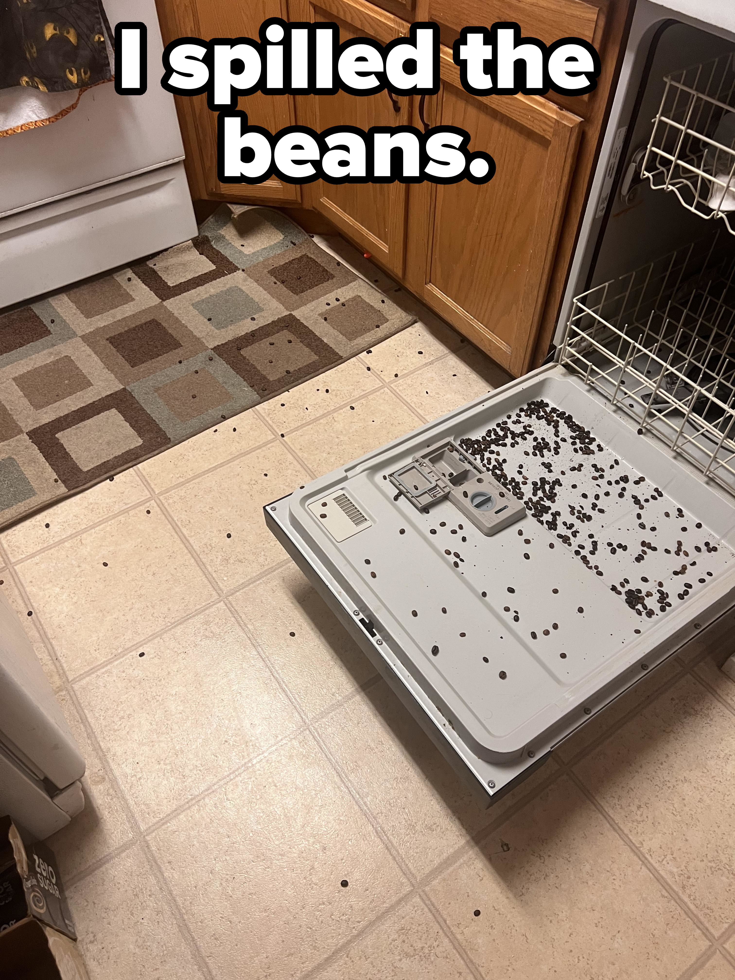 &quot;I spilled the beans,&quot; showing beans spilled all over a kitchen floor and dishwasher