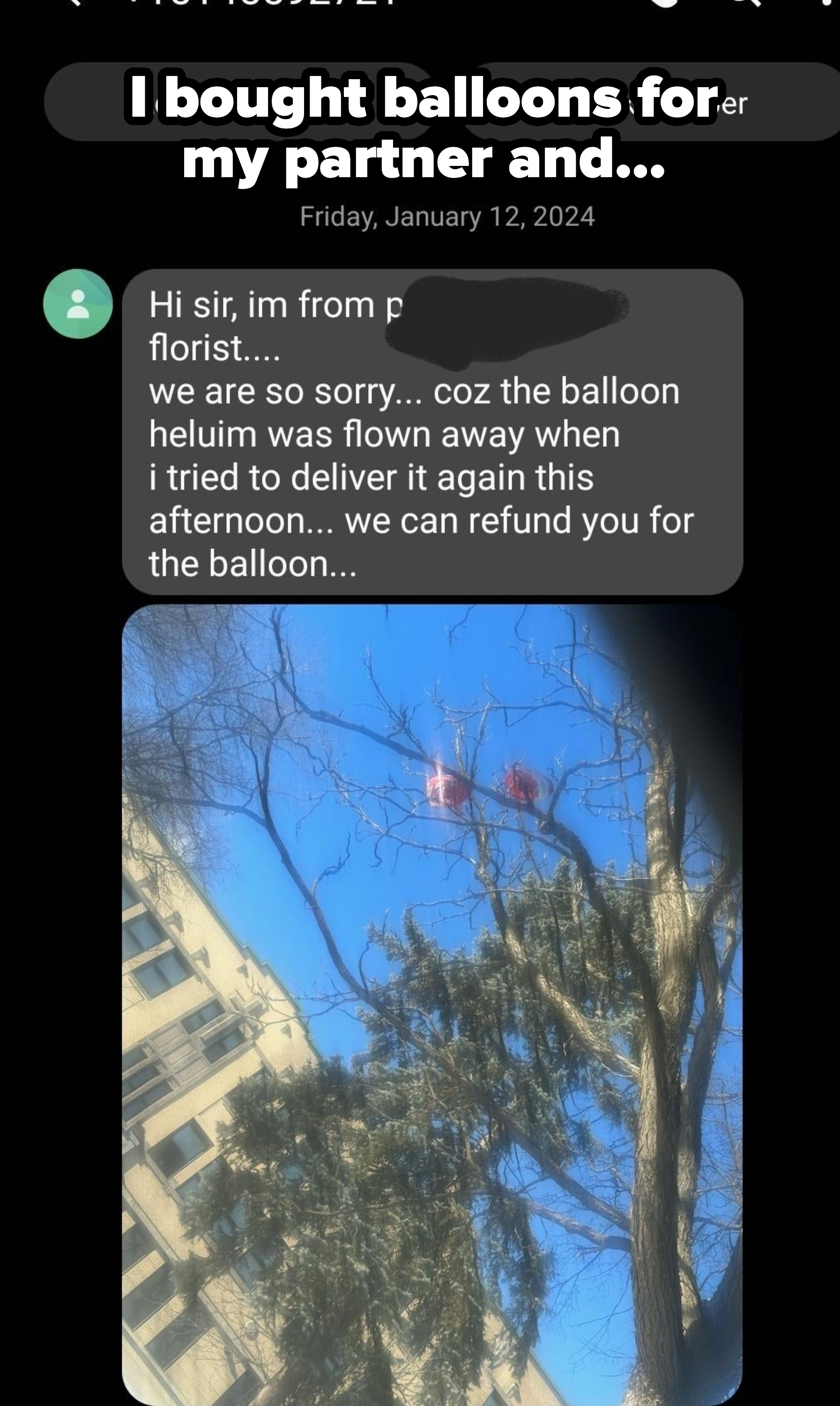 A present of helium balloons stuck in a tree