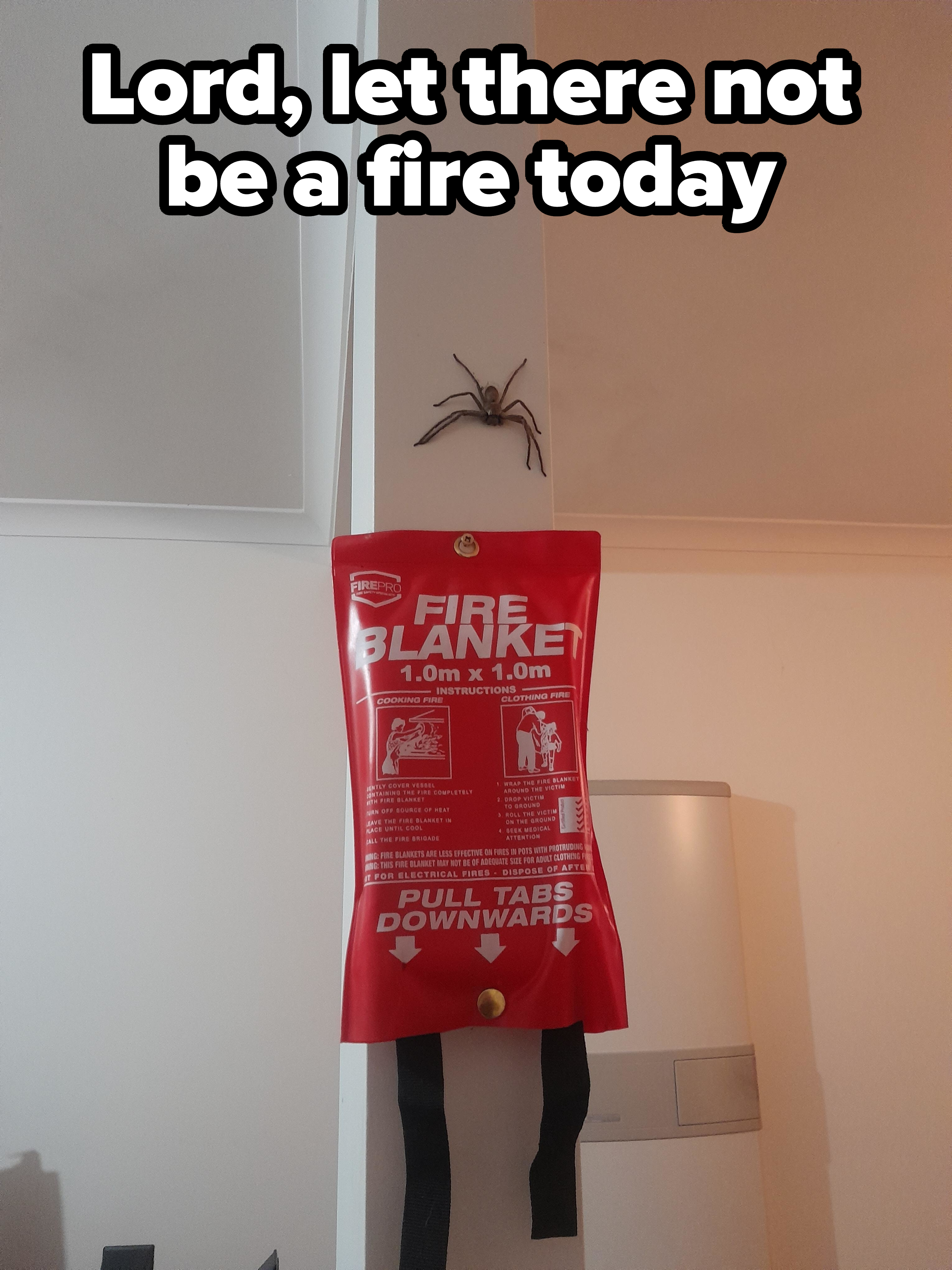 A large spider hovering over a fire blanket, with caption, &quot;Lord, let there not be a fire today&quot;