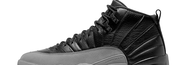 Air jordan shop 12 wolf gray