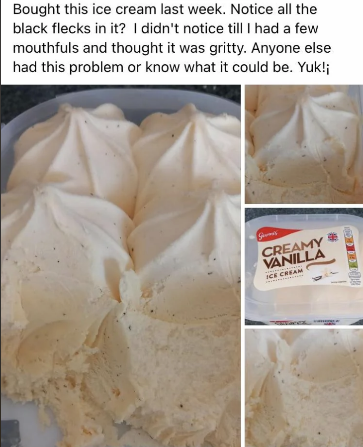Creamy Vanilla ice cream