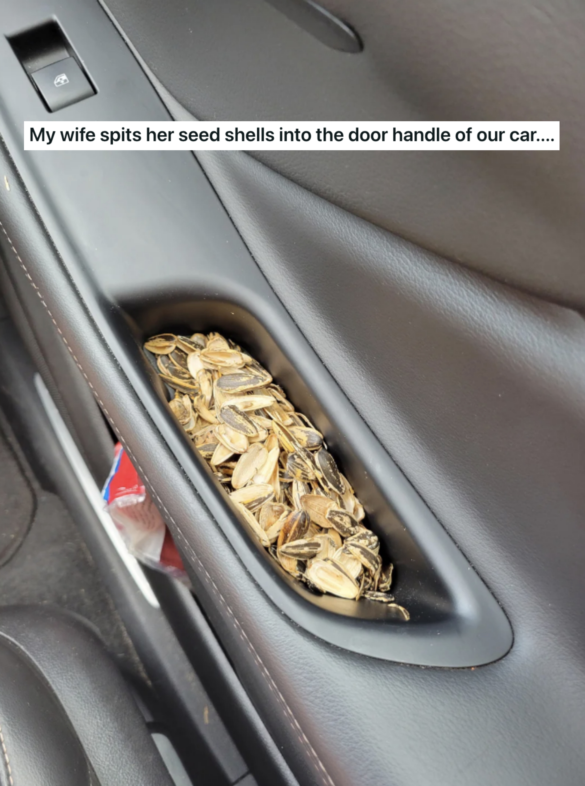 sunflower seeds in a door handle