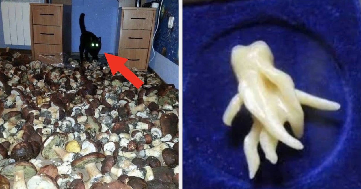 Horror Images Rdddit 16 Of The Scariest Reddit Photos You'll Ever See
