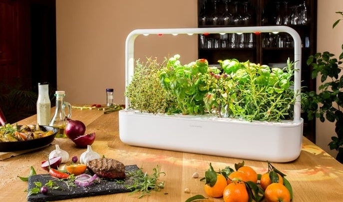 white self-watering indoor garden with leafy herbs